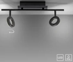 Paul Neuhaus LED-Deckenleuchte »Sileda«, klein
