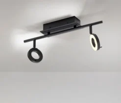 Paul Neuhaus LED-Deckenleuchte »Sileda«, klein