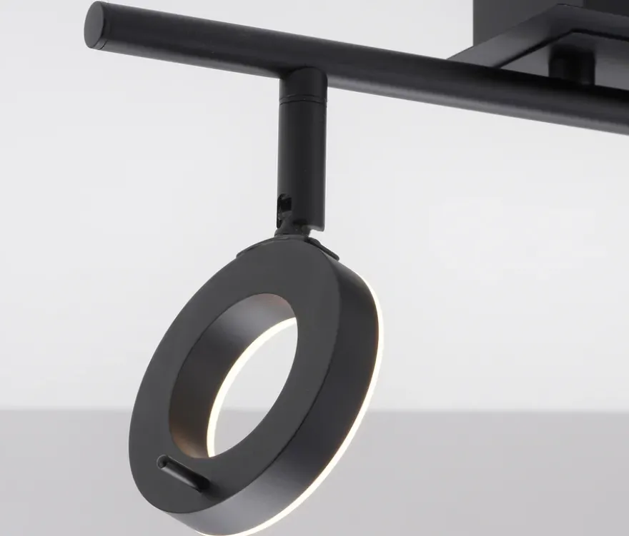 Paul Neuhaus LED-Deckenleuchte »Sileda«, klein