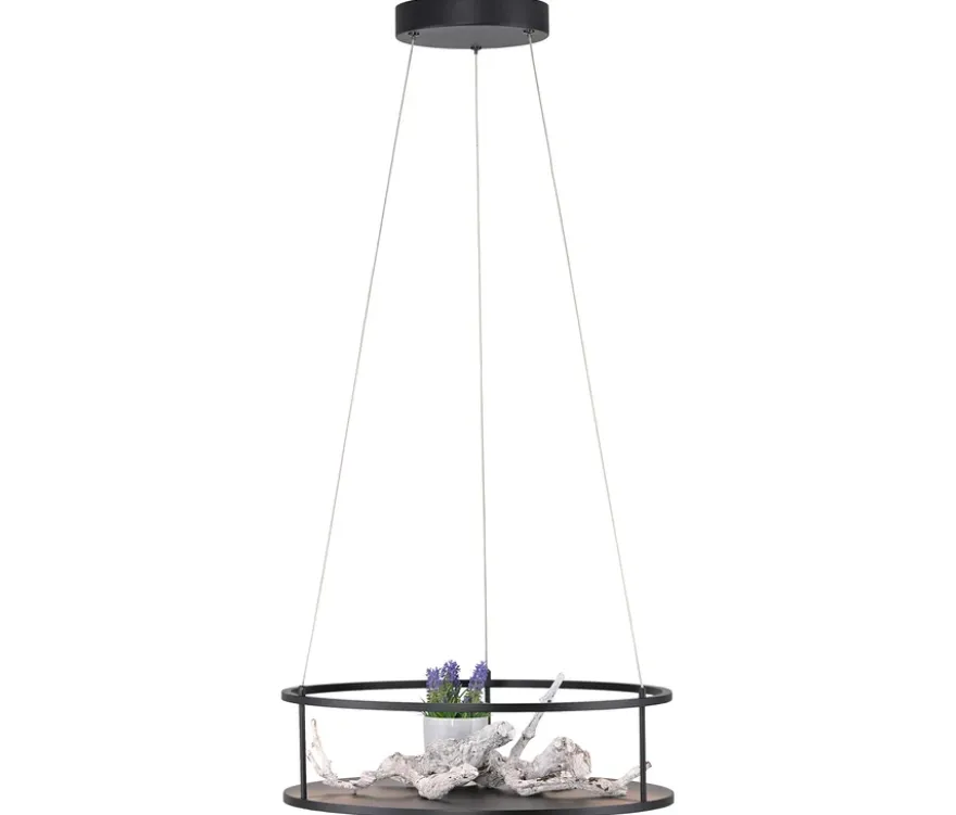 Paul Neuhaus LED-Pendelleuchte »CONNI«