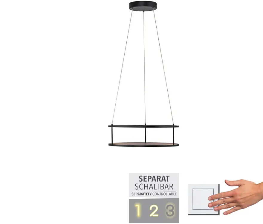 Paul Neuhaus LED-Pendelleuchte »CONNI«