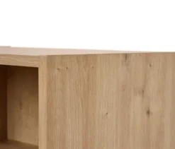 Regal »BAAKEN« mit 2 Schubladen