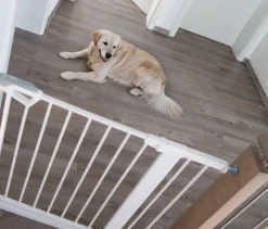 roba easySafe+ Tür-und-Treppen-Schutzgitter mit 14-cm-Erweiterung, weiß