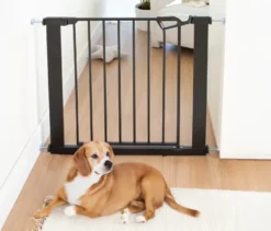 roba easySafe+ Tür-und-Treppen-Schutzgitter, schwarz