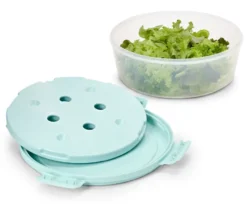 Salatschüssel mit Kühlakku