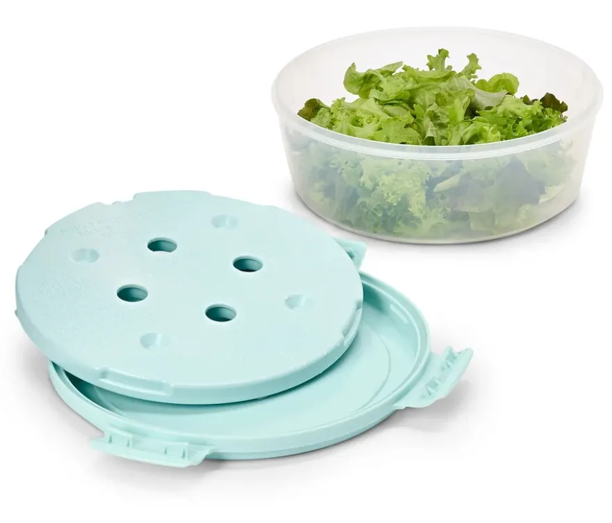 Salatschüssel mit Kühlakku