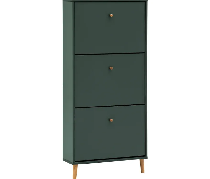 Schuhschrank »Bjarne«, 3 Klappen, waldgrün