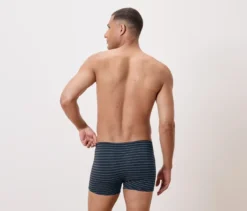 4 Slipboxer mit Modal