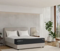 TEMPUR FORM™ Plus Matratze, firm, 90 x 200