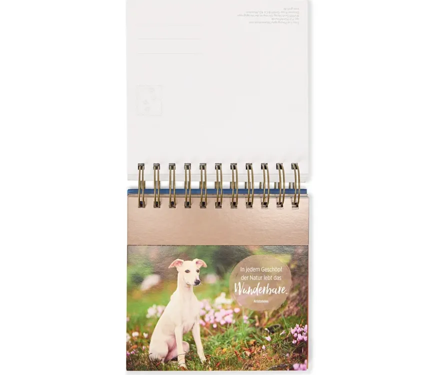 Tisch-Aufsteller für Hundefreunde
