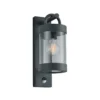 Trio Outdoor-Wandleuchte »Sambesi«, anthrazit