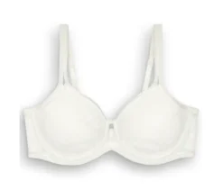 Triumph Signature Sheer Minimizer, Ecru White