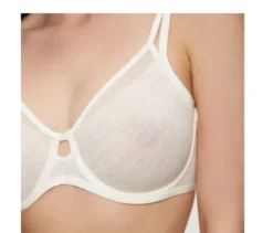 Triumph Signature Sheer Minimizer, Ecru White