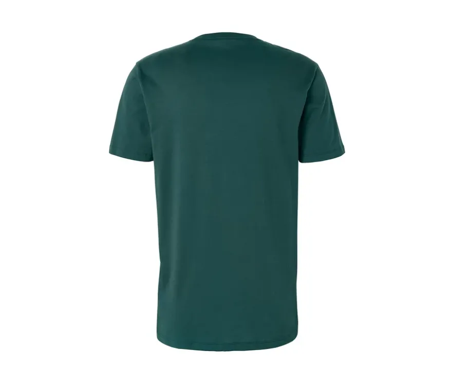 2 T-Shirts mit Rundhalsausschnitt