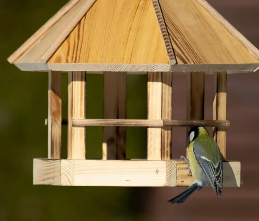 Vogelfutterhaus "Caliente"