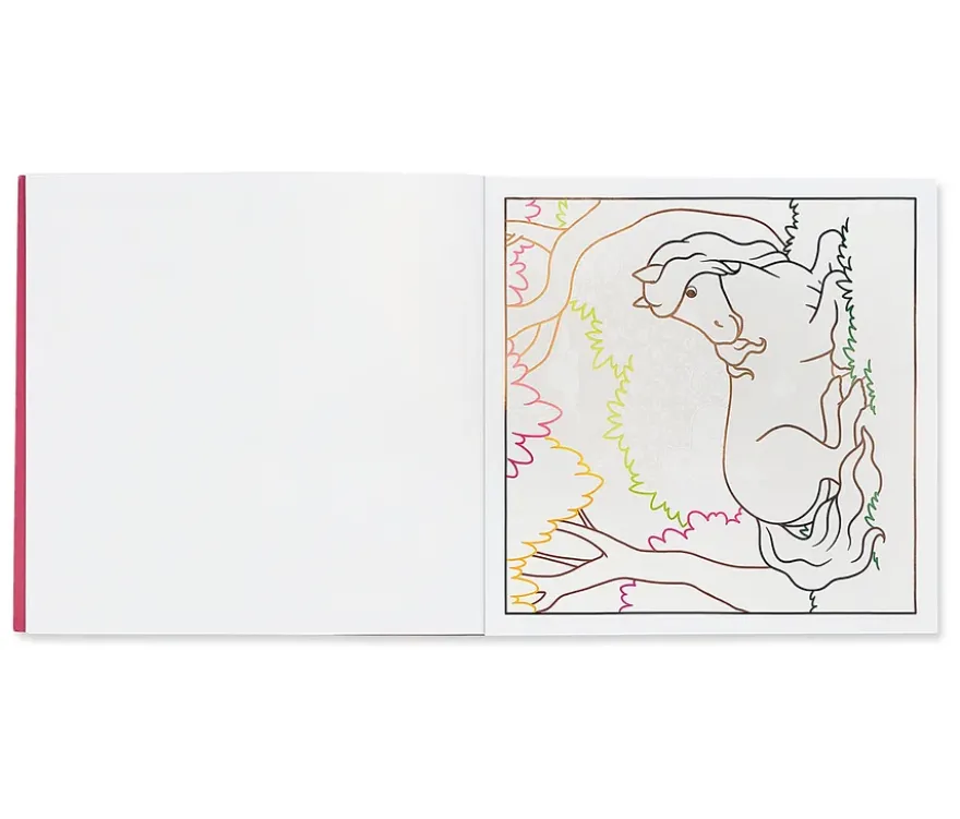 Zauberpapier Malbuch »Pferde und Ponys«